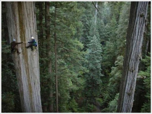 Extreme Way For Thrill Seekers