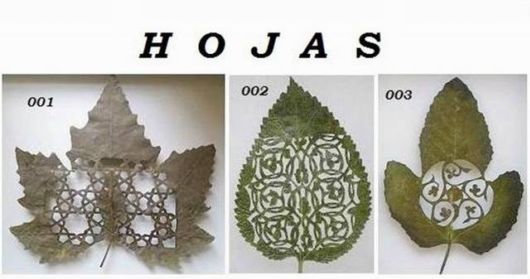Stunning Leaf Carving Artwork