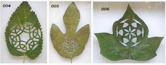 Stunning Leaf Carving Artwork