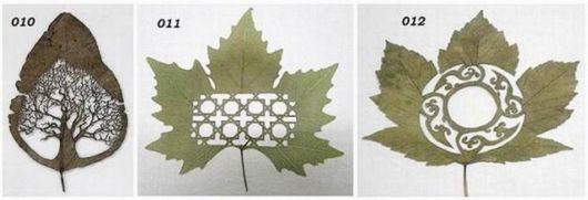 Stunning Leaf Carving Artwork