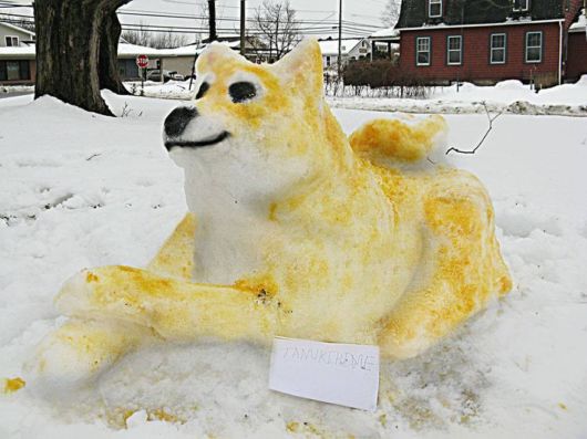 People Who Have Mastered The Art Of Snow
