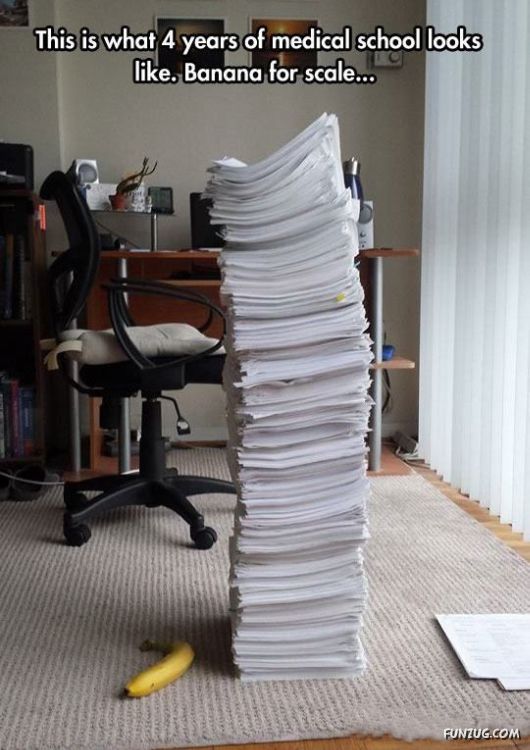 You Dont See That Every Day