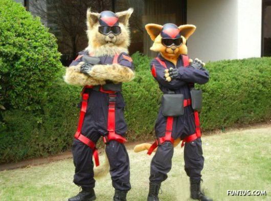 You Dont See That Every Day