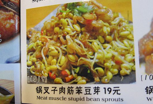 Hilarious Chinese Translation Fails