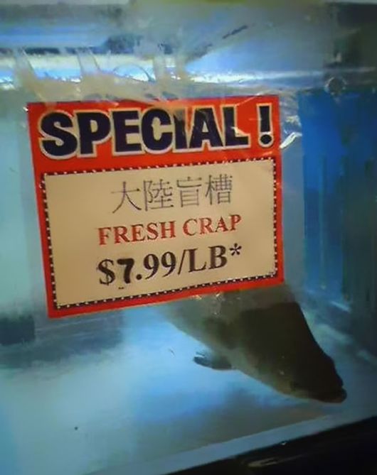 Hilarious Chinese Translation Fails