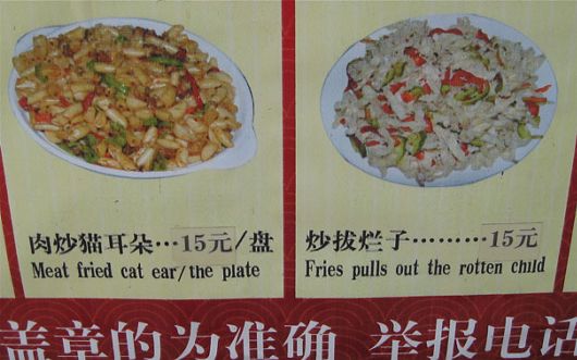 Hilarious Chinese Translation Fails