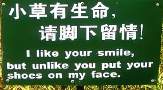 Hilarious Chinese Translation Fails