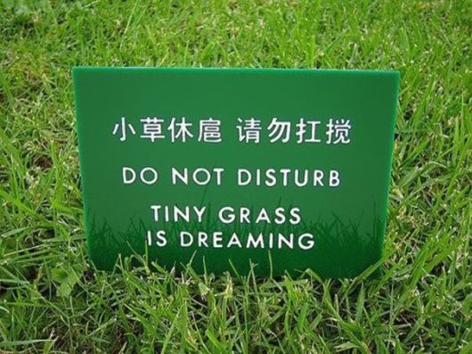 Hilarious Chinese Translation Fails