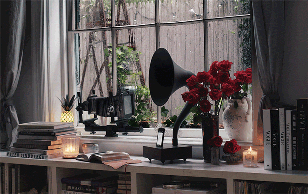 Spectacular Animated Photos