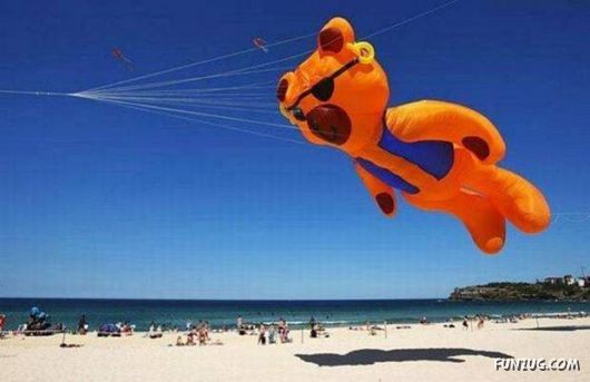 Cool Daily Picture Mania