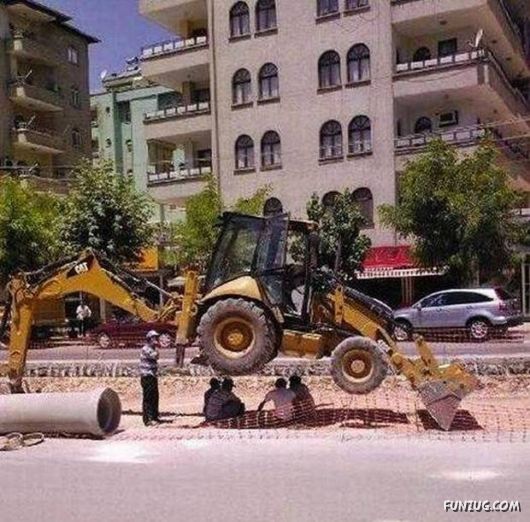 Cool Daily Picture Mania