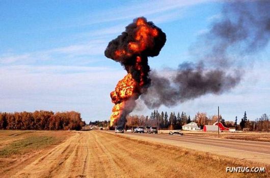 Cool Daily Picture Mania