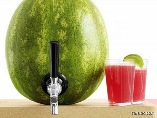 Cool Daily Picture Mania