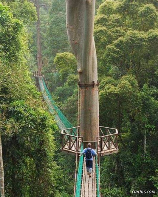 Cool Daily Picture Mania