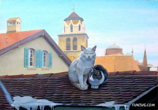 Cool Daily Picture Mania