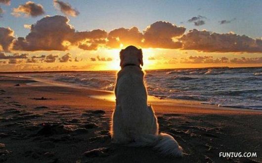 Cool Daily Picture Mania