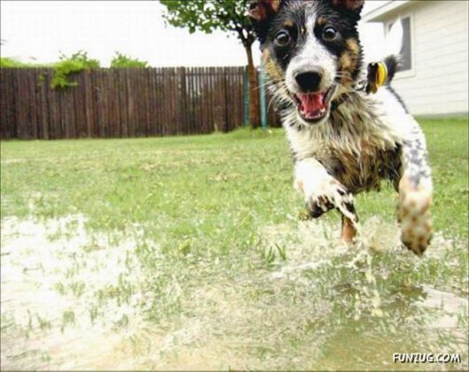 Cool Pictures Of The Day