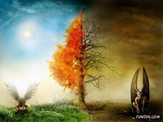 Cool Pictures Of The Day