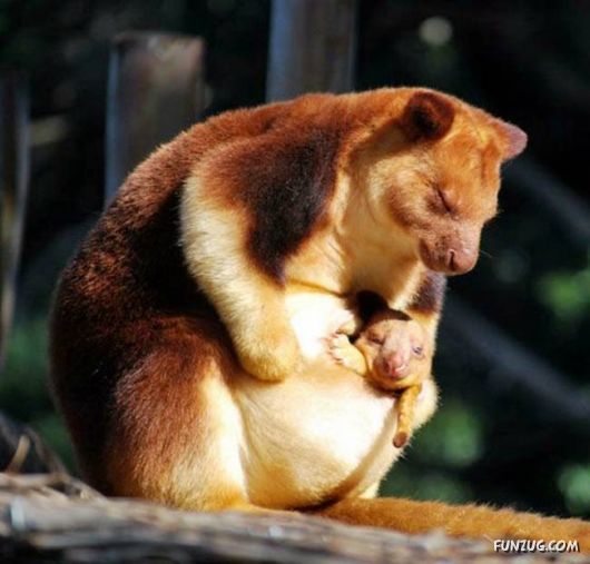 Cool Pictures Of The Day