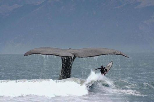 Cool Crazy Pictures Dump