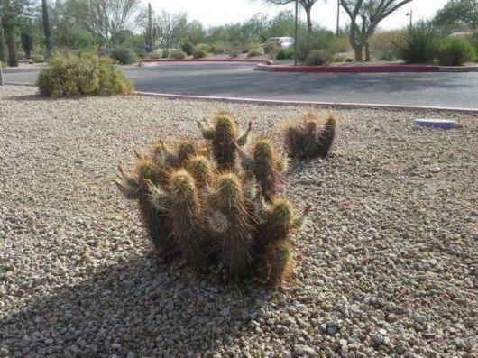 Cool Crazy Pictures Dump