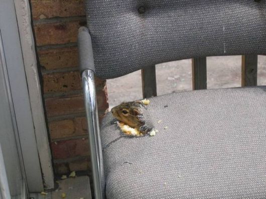 Cool Crazy Pictures Dump