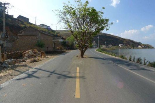 Cool Crazy Pictures Dump