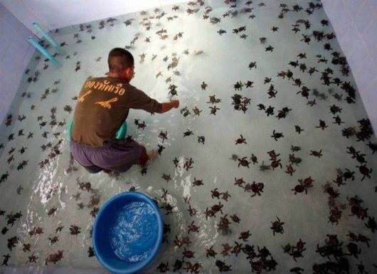 Cool Crazy Pictures Dump