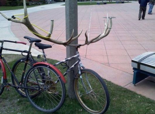 Cool Crazy Pictures Dump