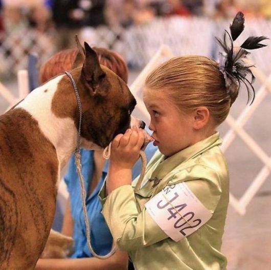 Cool Crazy Pictures Dump