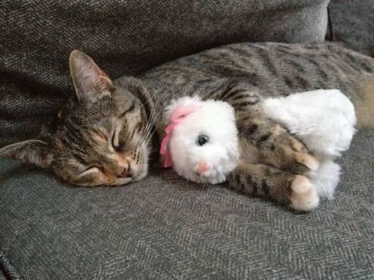 Cool Crazy Pictures Dump