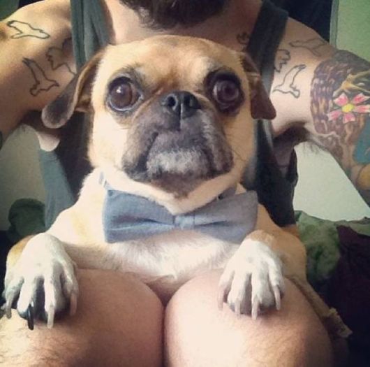 Cool Crazy Pictures Dump