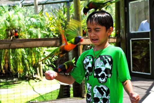 Cool Crazy Pictures Dump