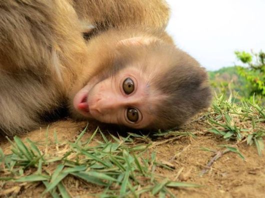 Cool Crazy Pictures Dump