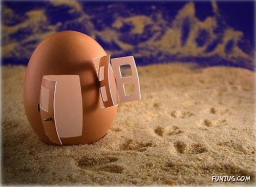 Creative Foody Funny Pictures