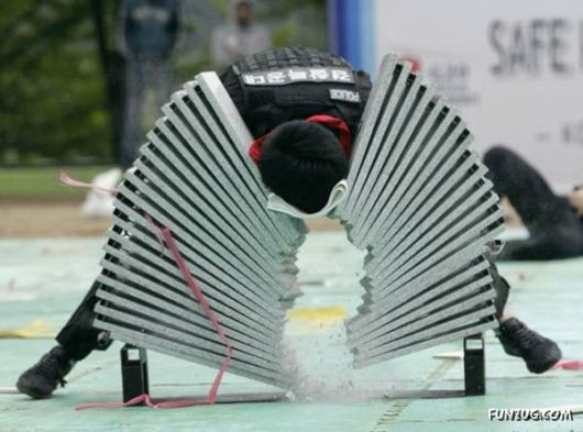 Daily Crazy Funny Pix