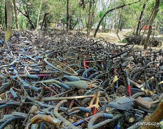 Daily Crazy Funny Pix