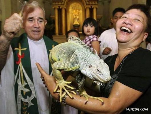 Daily Crazy Funny Pix