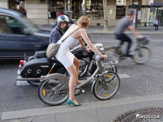 Daily Crazy Funny Pix