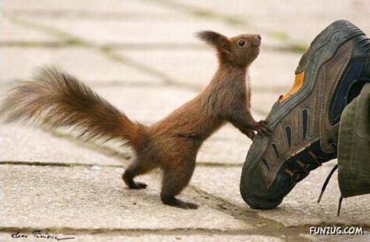 Daily Crazy Funny Pix