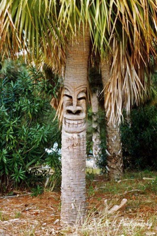 Daily Funny Pic Dump