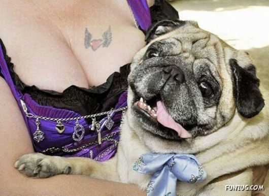 Daily Funny Pic Dump