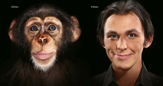 This is How Evolution Takes Place