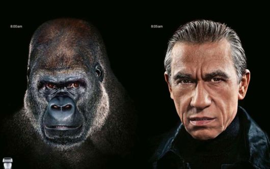 This is How Evolution Takes Place