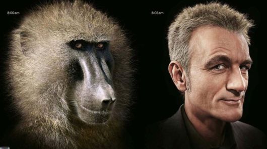 This is How Evolution Takes Place