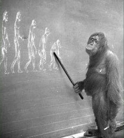 This is How Evolution Takes Place