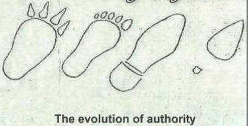 This is How Evolution Takes Place
