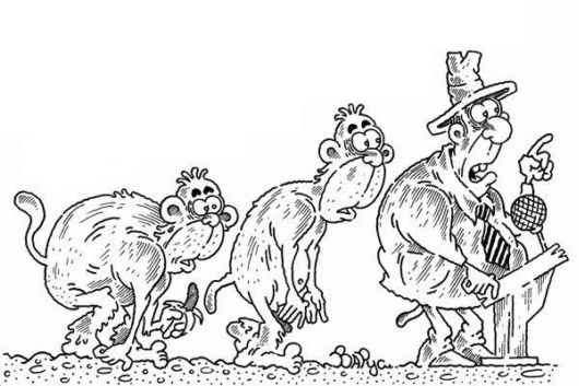 This is How Evolution Takes Place