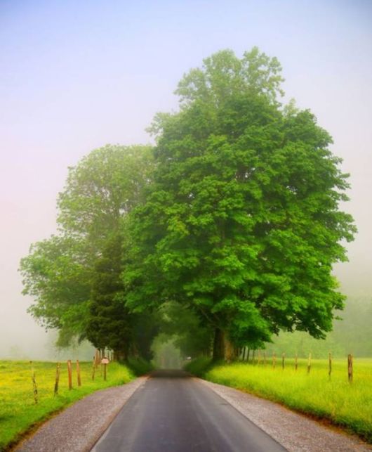 Funny Cool Crazy Pictures