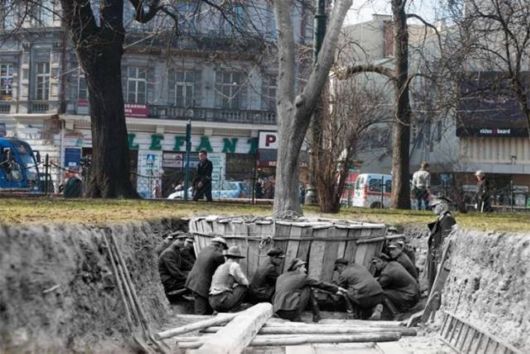 Funny Cool Crazy Pictures